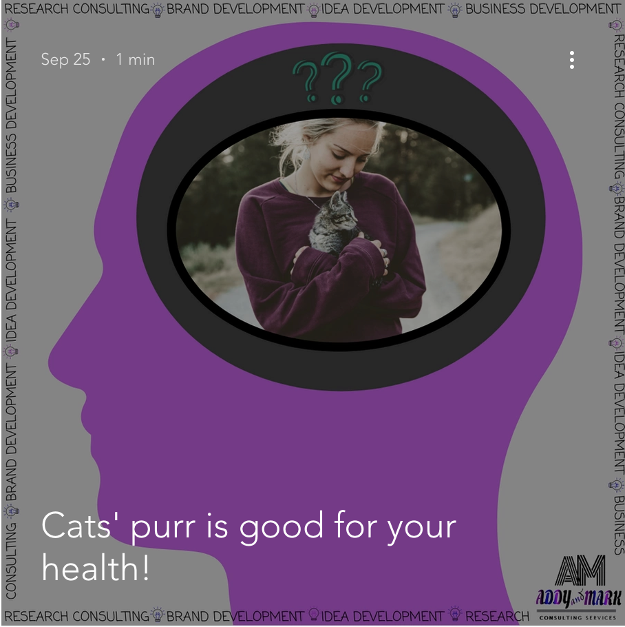 Cats’ purr is good for your health!